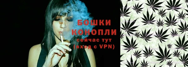 мдпв Бронницы