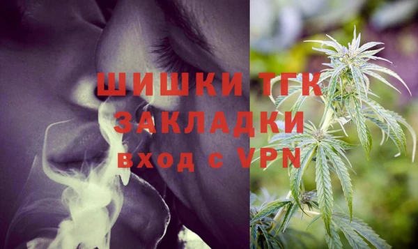 мдпв Бронницы