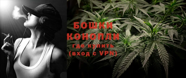 мдпв Бронницы