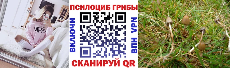 Купить где  Вуктыл  Галлюциногенные грибы GOLDEN TEACHER 